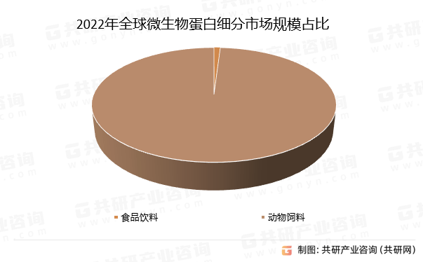 新澳王中王资料大全,新澳王中王资料大全，深度解析与探索