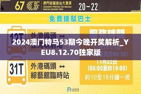 2024年澳门特马今晚,探索澳门特马的世界，2024年的今晚