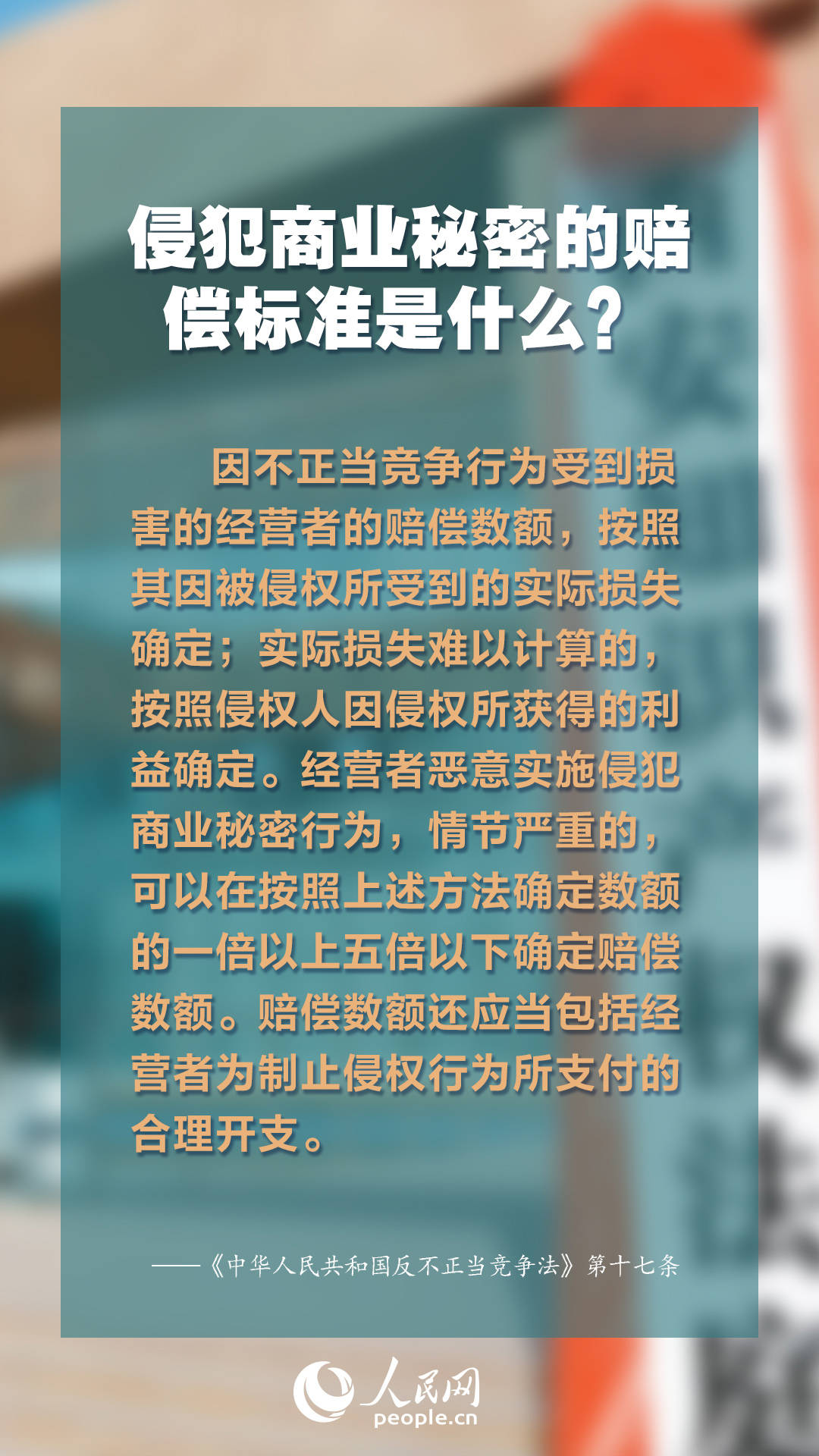 2025年1月15日 第53页