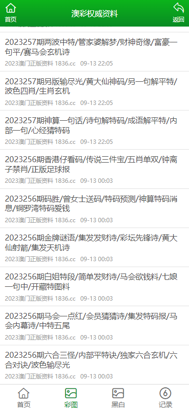 2023澳门正版全年免费资料,澳门正版全年免费资料，探索与体验的独特魅力